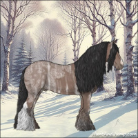 Horse Color:Bay Ice