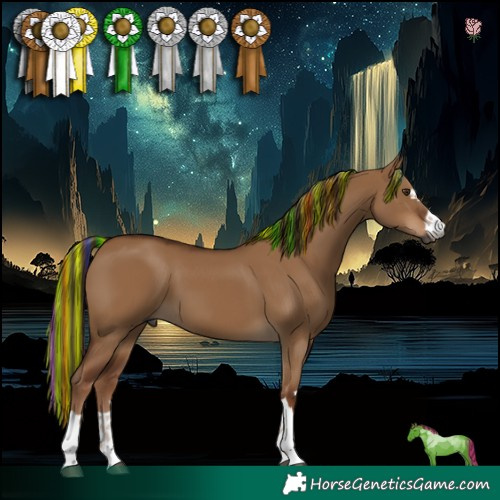 Horse Color:Gray Painted Red Dun 