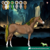 Horse Color:Gray Painted Red Dun