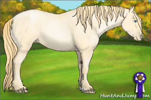 Horse Color:Buckskin Roan Pearl  and Buckskin Roan Pearl 