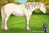 Horse Color:Buckskin Roan Pearl  and Buckskin Roan Pearl 