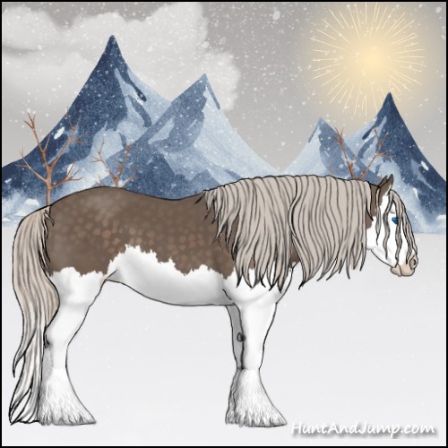 Horse Color:Silver Black Splash 