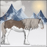 Horse Color:Silver Black Splash 