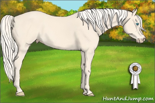 Horse Color:Cremello 