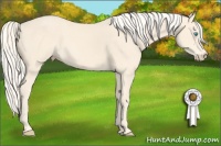Horse Color:Cremello 
