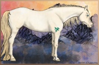Horse Color:Buckskin Roan Pearl  and Buckskin Roan Pearl 