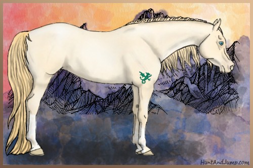 Horse Color:Buckskin Roan Pearl and Buckskin Roan Pearl