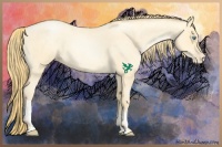 Horse Color:Buckskin Roan Pearl and Buckskin Roan Pearl