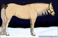 Horse Color:Palomino Dun  and Palomino Dun 