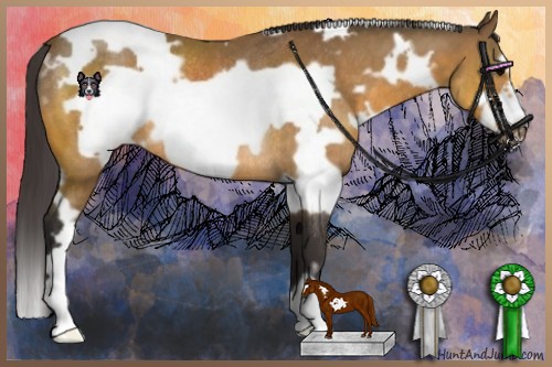 Horse Color:White Spotted Buckskin Frame Rabicano 