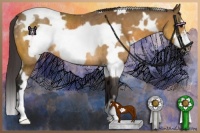 Horse Color:White Spotted Buckskin Frame Rabicano