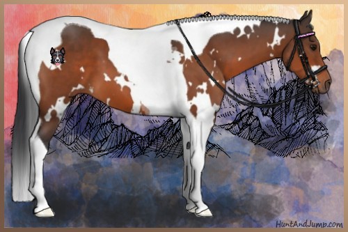 Horse Color:White Spotted Bay Tobiano 