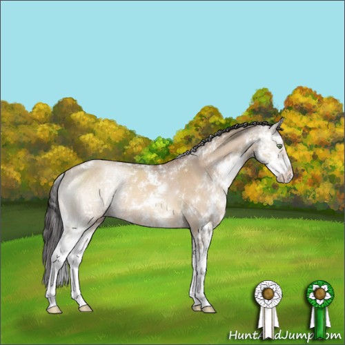 Horse Color:Sable Champagne Dun Sabino Rabicano