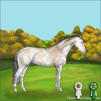 Horse Color:Sable Champagne Dun Sabino Rabicano 