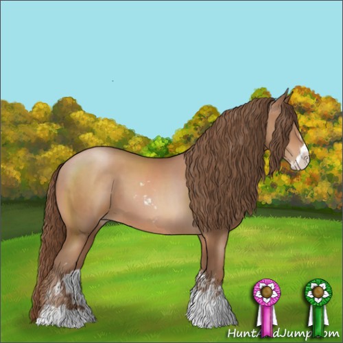 Horse Color:Brown Pearl Sabino