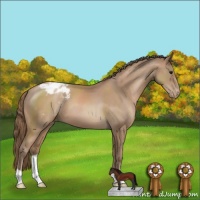 Horse Color:Black Pearl Appaloosa 