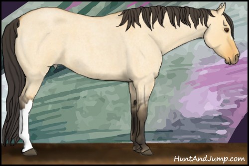 Horse Color:Buckskin Roan Dun 