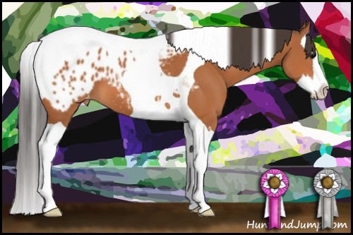 Horse Color:Bay Sabino Splash Tobiano Appaloosa 