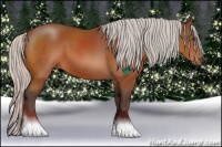 Horse Color:Silver Brown 