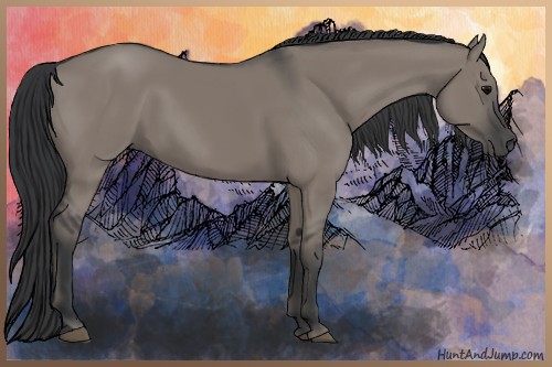 Horse Color:Grullo 
