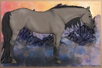 Horse Color:Grullo 