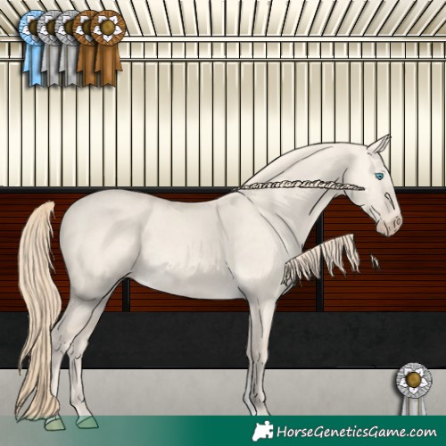 Horse Color:Perlino Dun 