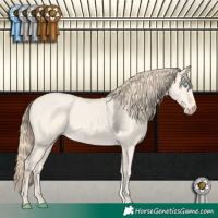 Horse Color:Perlino Dun