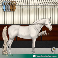Horse Color:Perlino Dun