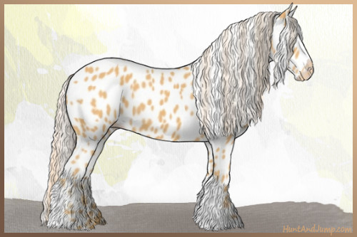 Horse Color:Palomino Leopard 