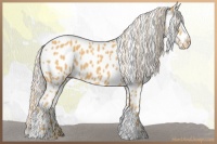 Horse Color:Palomino Leopard 
