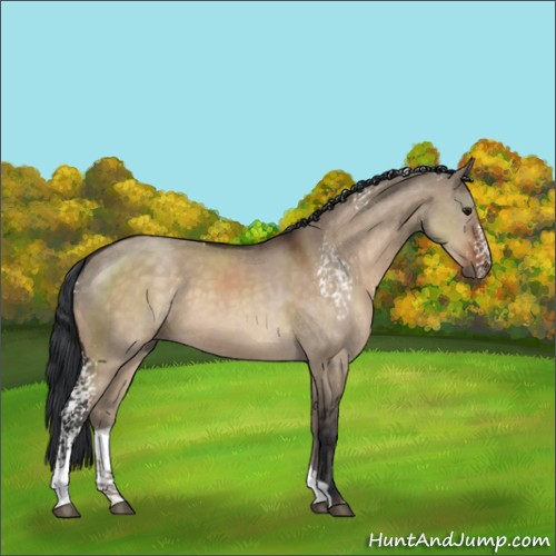 Horse Color:White Spotted Brown Dun