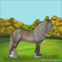 Horse Color:Silver Black Sabino 