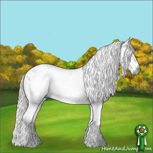 Horse Color:Gray Silver Black Sabino 