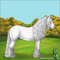 Horse Color:Gray Silver Black Sabino