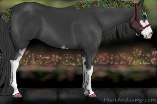 Horse Color:Black Sabino 