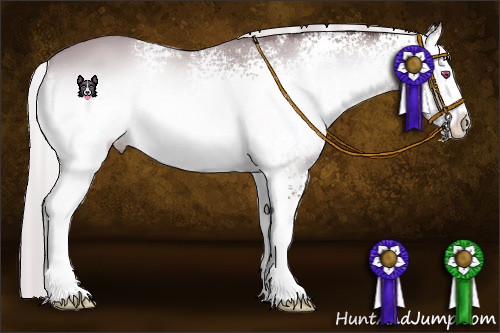 Horse Color:White Spotted Chocolate Silver Bay Chinchilla Onyx Sabino