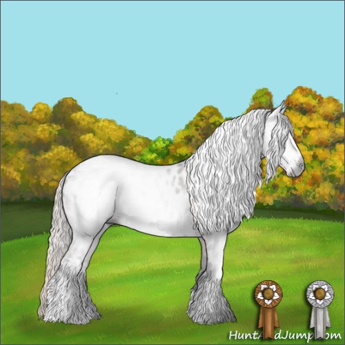 Horse Color:Gray White Spotted Silver Black Leopard