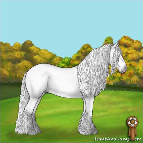 Horse Color:Gray White Spotted Silver Black 