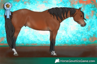 Horse Color:Bay Tobiano Rabicano