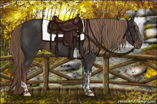 Horse Color:Liver Chestnut Tobiano