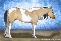 Horse Color:Buckskin Dun Tobiano