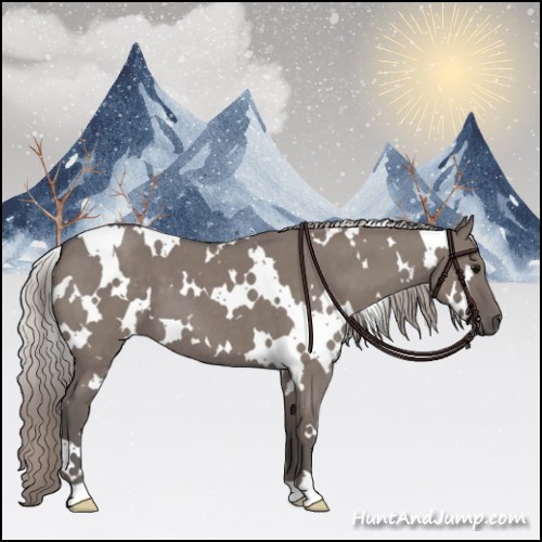 Horse Color:White Spotted Silver Grullo Roan 