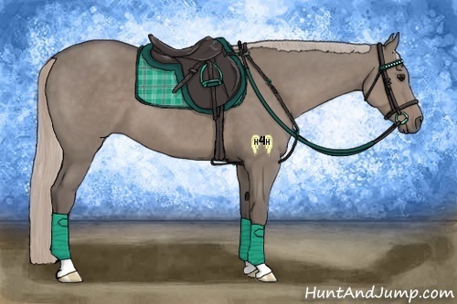 Horse Color:Silver Grullo 