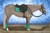 Horse Color:Silver Grullo 