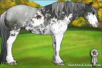 Horse Color:Black Sabino 