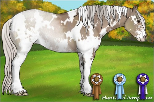 Horse Color:White Spotted Silver Grullo Sabino