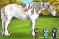 Horse Color:White Spotted Silver Grullo Sabino 