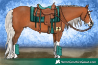 Horse Color:Silver Bay Splash Rabicano 