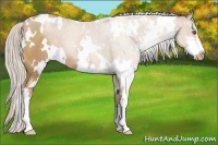 Horse Color:White Spotted Silver Black Pearl Sabino 