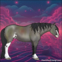 Horse Color:Grullo Sabino 